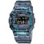 DW-5600NN-1ER