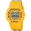 DW-5600SLC-9AER