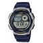 AE-1000W-2AVEF