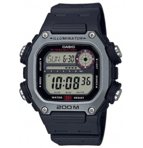 DW-291H-1AVEF