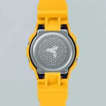 DW-5600SLC-9ER Летний Любовник Мед
