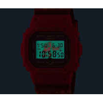 DW-5600SMB-4ER Супер Марио Брос. ОГРАНИЧЕННАЯ
