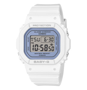 BGD-565SC-2BER