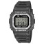 DW-5600RGM-1ER