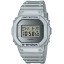 DW-5600FF-8ER