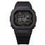DW-H5600-1ER
