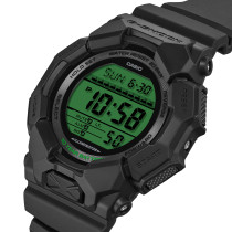 GD-010BEG-1ER