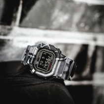 DW-5000SS-1ER