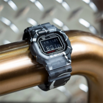 DW-5000SS-1ER