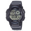 AE-1000W-8A