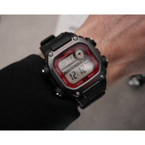 DW-291H-1B