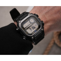 DW-291HX-1A