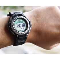 SGW-100-1VEF