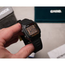 W-800HG-9AVEF
