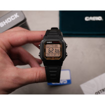 W-800HG-9AVEF