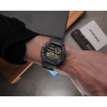 WS-1700H-8A