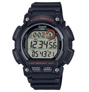 WS-2100H-1AV